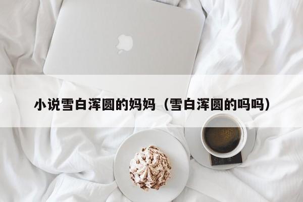 小说雪白浑圆的妈妈(雪白浑圆的吗吗)