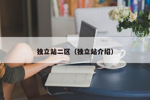 独立站二区(独立站介绍)